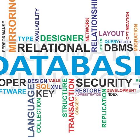 Database management services